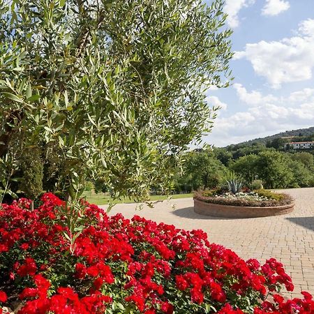 Poggio Pellicciaia Villa Arezzo Eksteriør bilde